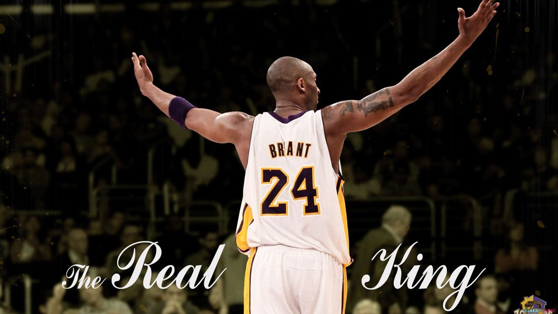 东契奇在公牛比赛中赛事规则更新，回归赛场引发热议！-乐动体育APP下载